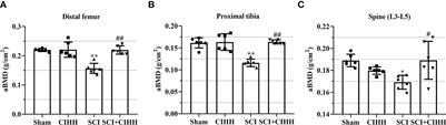 Chronic intermittent hypobaric hypoxia ameliorates osteoporosis after spinal cord injury through balancing osteoblast and osteoclast activities in rats